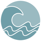 TCS Tsunami logo