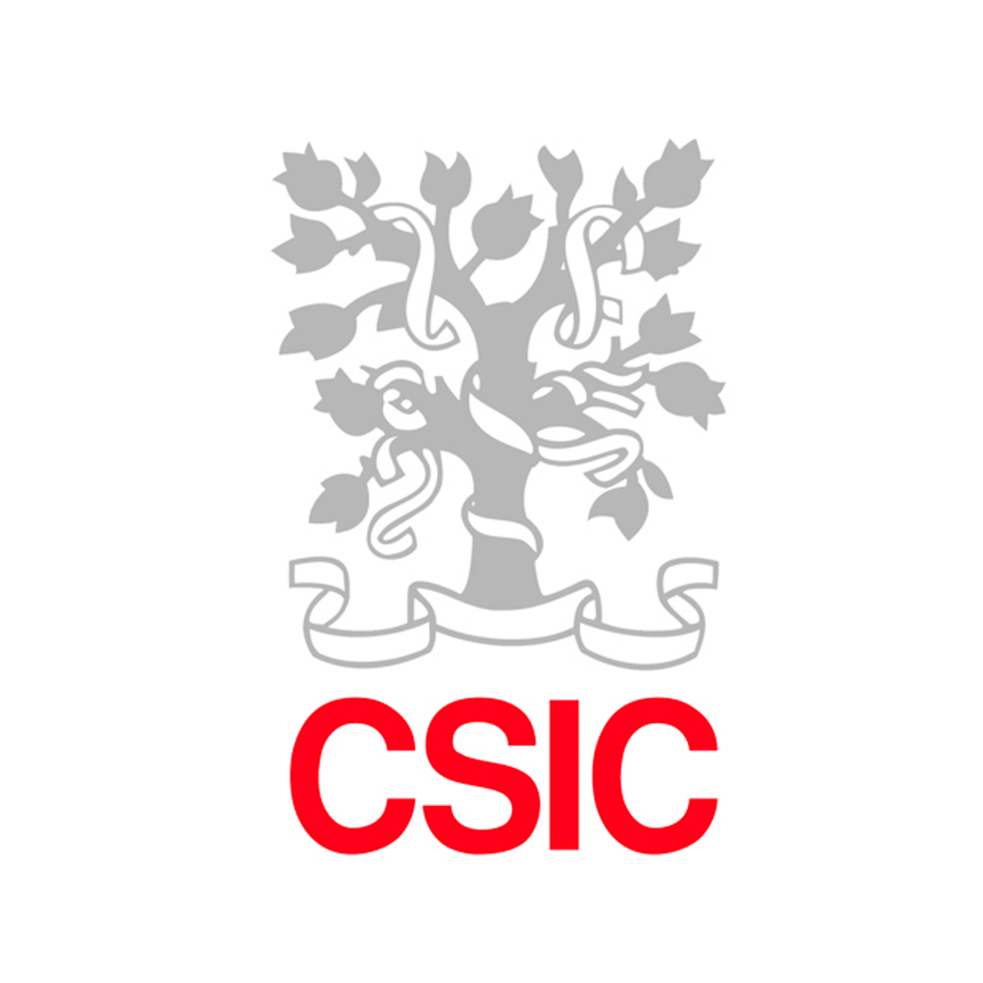 CSIC logo